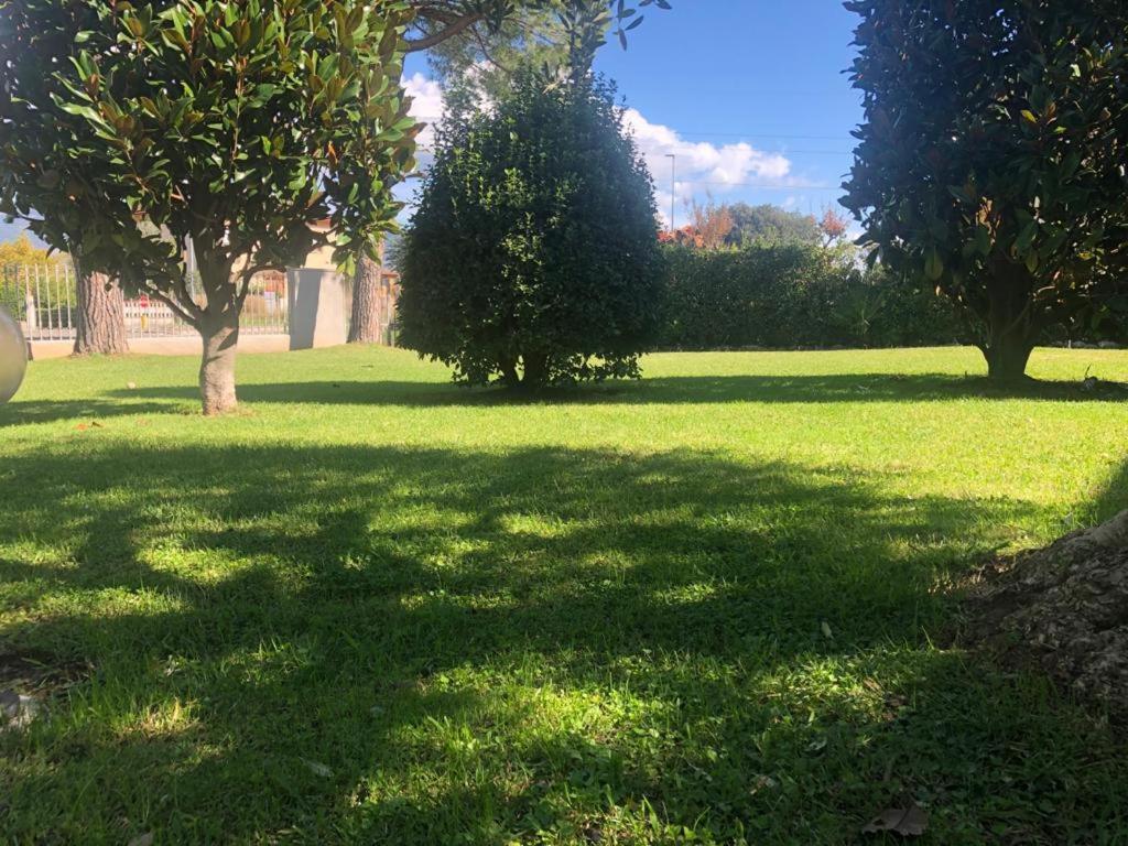 Villa Orsini - A Retreat In Pisa - Food And Relax Экстерьер фото